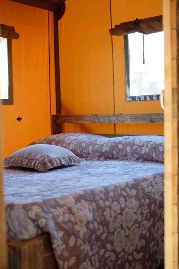 La Viola E Il Sole - Alloggi E Glamping - Fermo Ngoại thất bức ảnh