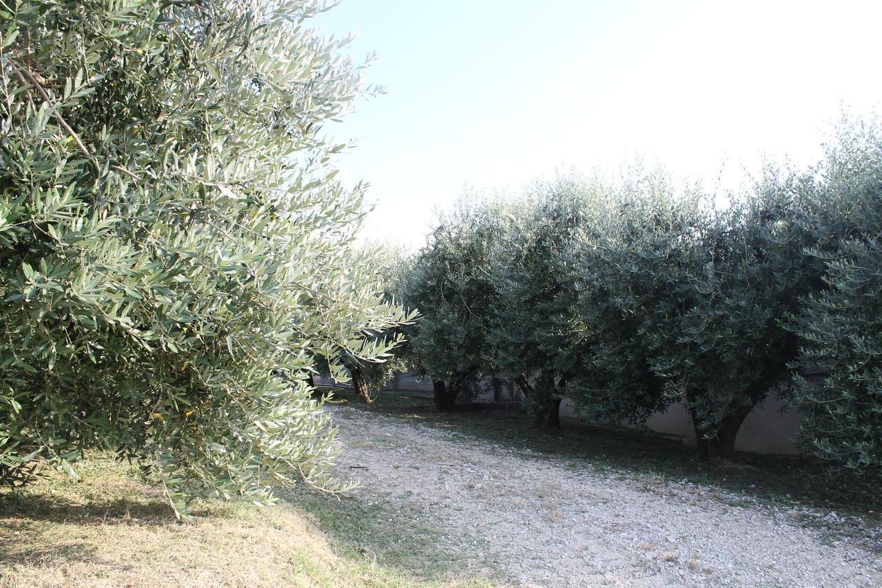 La Viola E Il Sole - Alloggi E Glamping - Fermo Ngoại thất bức ảnh